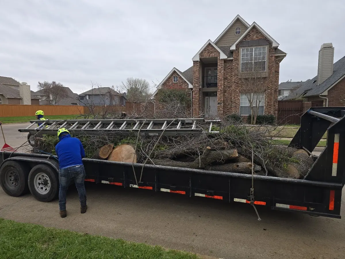 Expert Tree Fertilization with proper safety equipment in Matheny